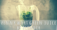 diy pennywort gotu kola green blender juice by saltymom.net sm.png